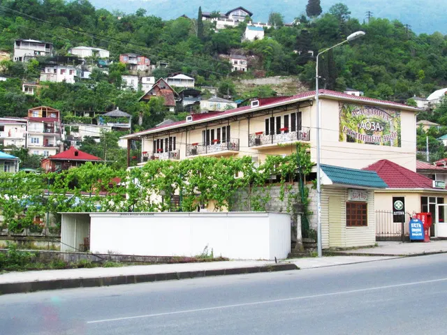 Лоза (Loza), Гагра