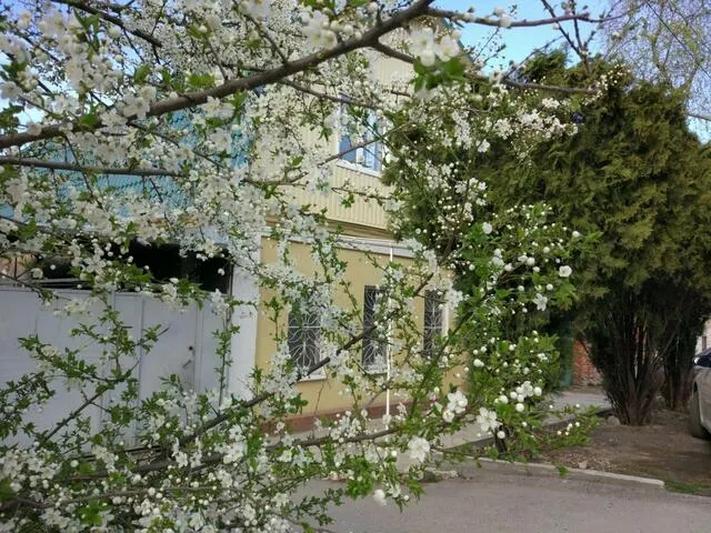 Хостел Свои, Кавказские Минеральные Воды: Пятигорск