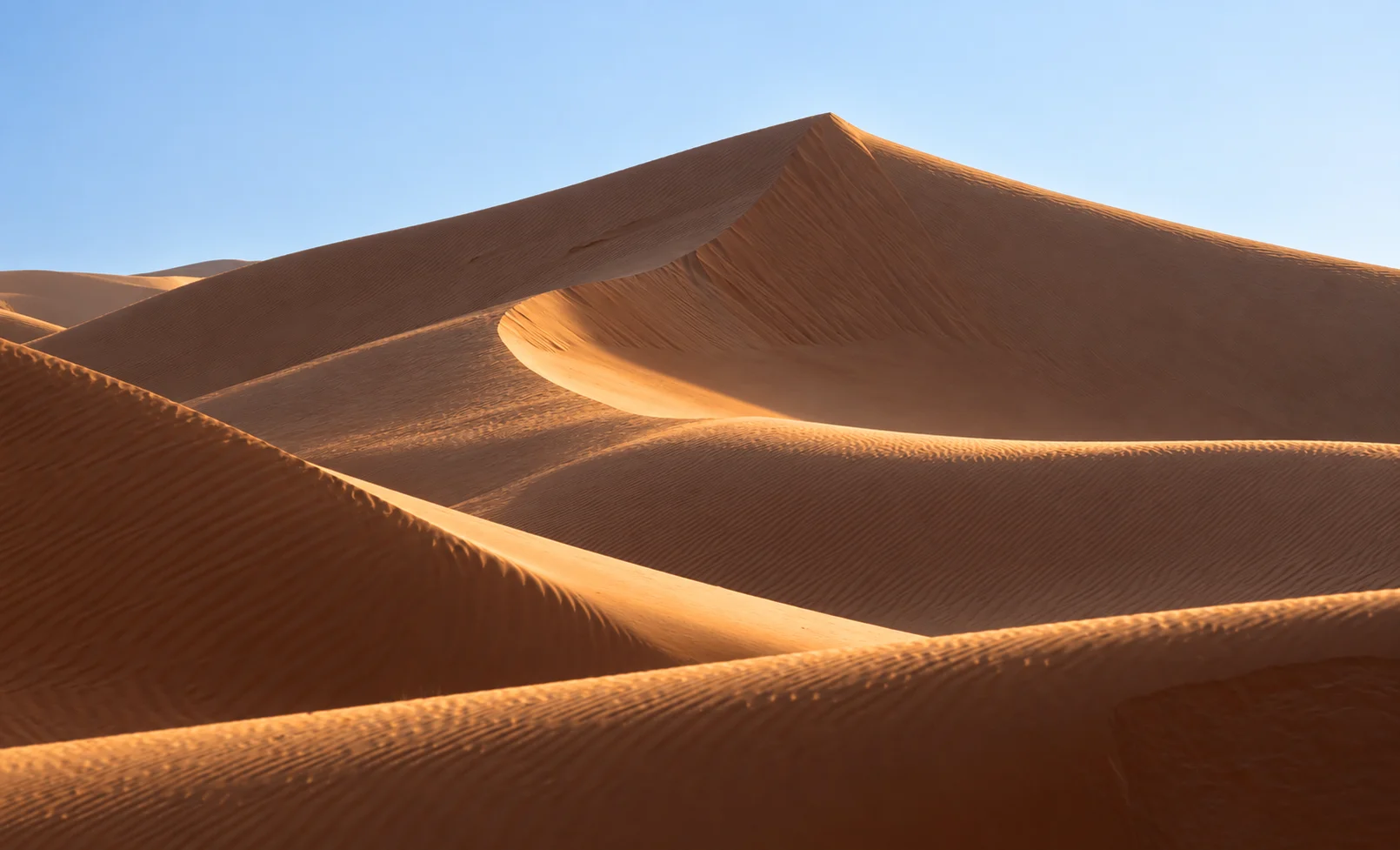 Светлая кромка дюн Dubai Desert Conservation Reserve