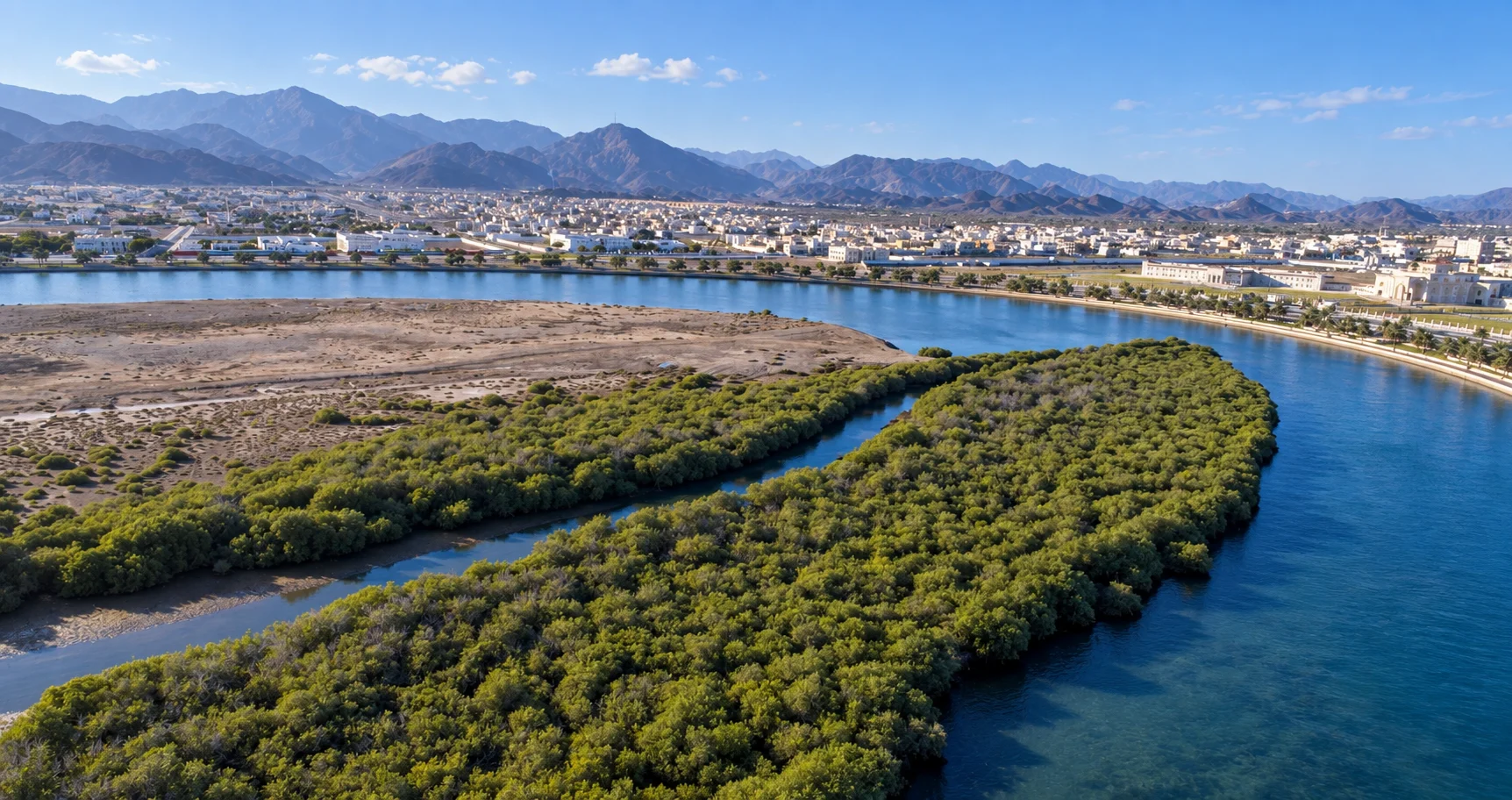 Простор между манграми, водой и горами