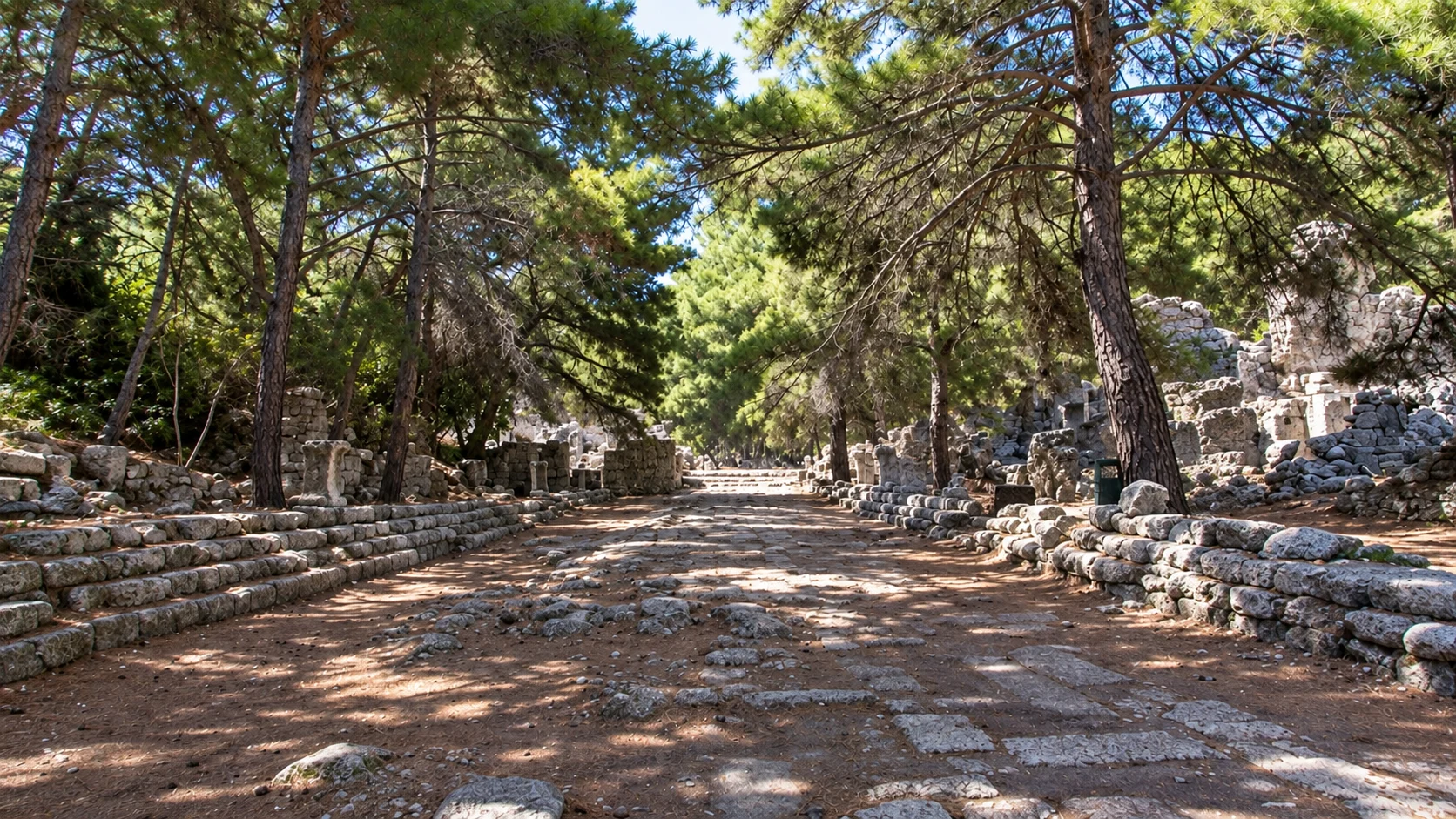 Каменная улица Фаселиса под соснами